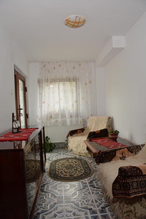 Pensiunea Margareta Sita Buzăului 외부 사진